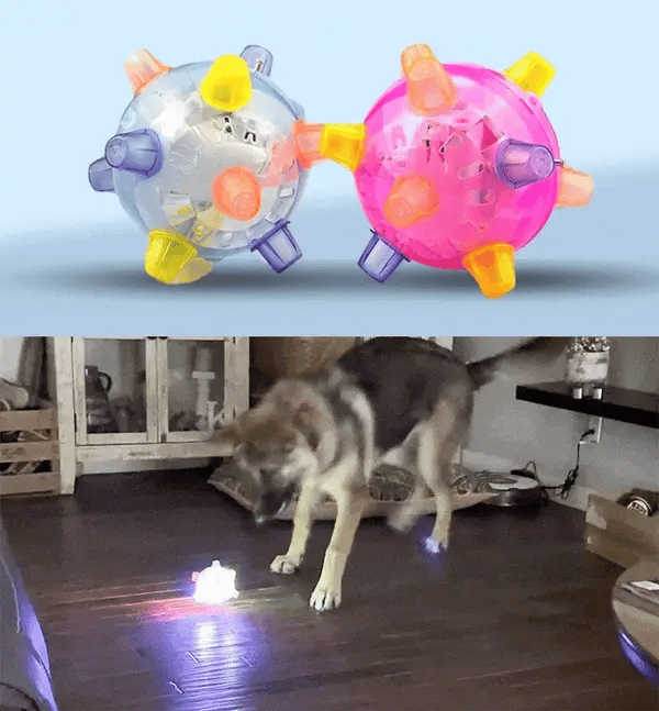 PetsBoro PetBall - Best Pet Toy (Pack Of 2)