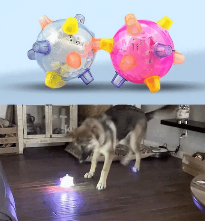 PetsBoro PetBall - Best Pet Toy (Pack Of 2)